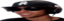 Dripp emote for Discord