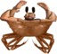 DrakeCrab emote for Discord
