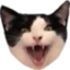 Dracula emote for Discord