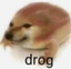 drog emote for Discord