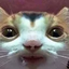 droolingCat emote for Discord