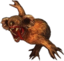 dropBear emote for Discord