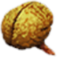drownerBrain emote for Discord