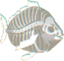dredgeSkeletalMoonfish emote for Discord