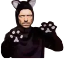 drMeowse static emote for Discord, Twitch and Slack
