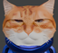 dsc_ai_slop emote for Discord