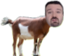 DSPGoat emote for Discord