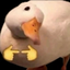 duckPls emote for Discord