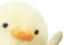 duckwave emote for Discord