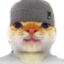 Dude emote for Discord