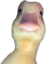 duckStare emote for Discord