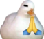 duckpray emote for Discord