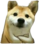 dudedog emote for Discord
