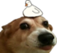 DUCKDOG emote for Discord