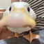 duckSniff emote for Discord