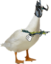 DuckyJoe emote for Discord