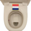 DutchShelf emote for Discord