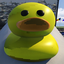 duckstare emote for Discord
