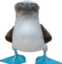 duckStare emote for Discord