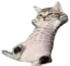 czilerka emote for Discord