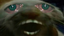 dds emote for Discord