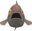 DFeesh emote for Discord