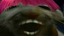 ddxp emote for Discord