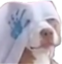 DGMHero emote for Discord