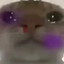 df4 emote for Discord