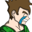 DKCRY emote for Discord