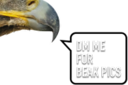 DMFORBEAKPICS static emote for Discord, Twitch and Slack