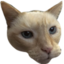 ECHK emote for Discord