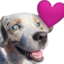 echoWowee emote for Discord