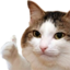 edenKOT emote for Discord