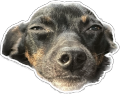eddySleepy static emote for Discord, Twitch and Slack