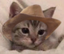 eepyLilCowboy emote for Discord