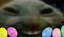 eggsdd emote for Discord