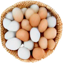 EggsInOneBasket static emote for Discord, Twitch and Slack