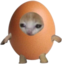 Eggcat emote for Discord