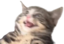 EEEE emote for Discord