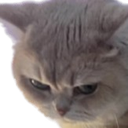 eggyAngy static emote for Discord, Twitch and Slack