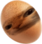 egguuh emote for Discord