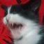 ehehehe emote for Discord