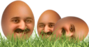 EKEGGS static emote for Discord, Twitch and Slack