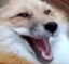 ekk emote for Discord