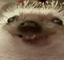 ejhappy emote for Discord