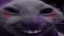 EKKOXDD emote for Discord