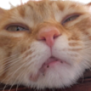 ellieWuh static emote for Discord, Twitch and Slack