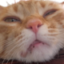 ellieWuh emote for Discord
