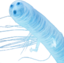EldenWorm emote for Discord